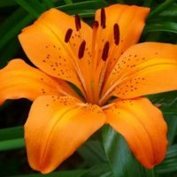 Alan Mac (@alanmac34482343) 's Twitter Profile Photo Alan Mac (@alanmac34482343) 's Twitter Profile Photo