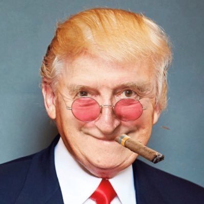 alt_noods's profile picture. #NOODS4PREZ.