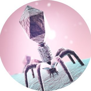 Promoting PHAGE  & PHAGE PIONEERS. Founder https://t.co/7MzdqNPhMt  
@PidaRipley created @AgeOfThePhage #WorldPhageDay 22 Oct #WorldPhageWeek 22-28 Oct & #PhageWorld