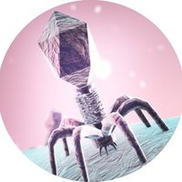 AGEofthePHAGE.com & #WorldPhageDay #WorldPhageWeek (@ageofthephage) 's Twitter Profile Photo AGEofthePHAGE.com & #WorldPhageDay #WorldPhageWeek (@ageofthephage) 's Twitter Profile Photo