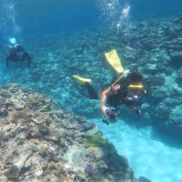 泉川和也 (@ssrdak) 's Twitter Profile Photo