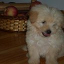 malena ben gonzalez - @madaben - Twitter