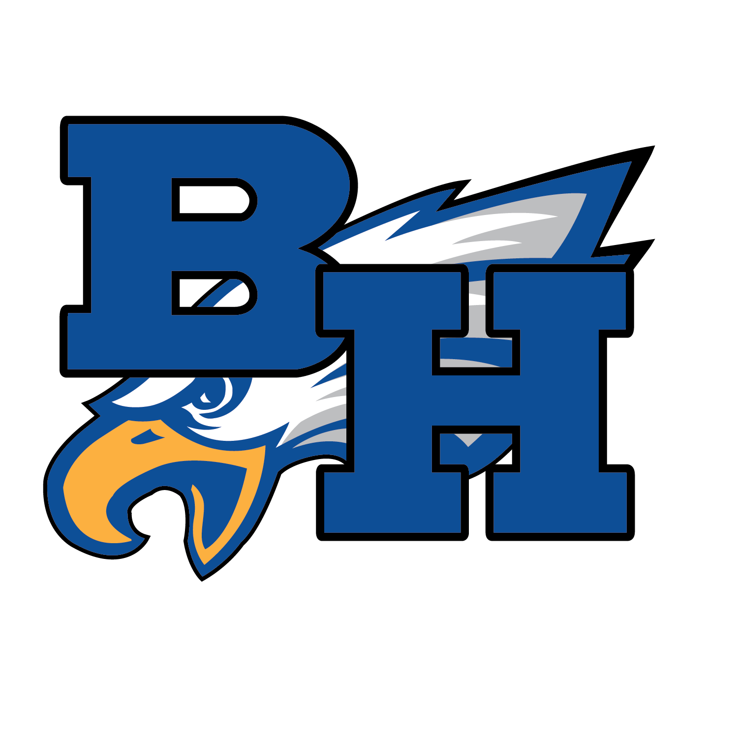 bhladybball Profile Picture