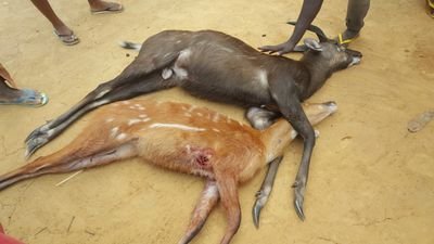 aboh_yves's profile picture. ma personnalité