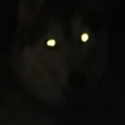 monstercircus's profile picture. Coming soon—Monster Circus! (working title) is a narrative puzzle game in which you befriend quirky monsters working as circus performers!