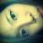 ohyunah's profile image