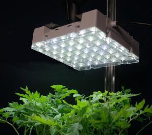 Grow Lights For Indoor Gardens including High Pressure Sodium, Fluorescent Lights, and LED Lights
