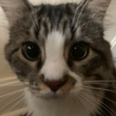 drew_tucker14's profile picture. I'm up for it