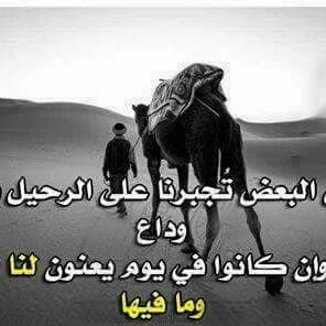 Kimoo15494252's profile picture. خرووووووج دائماً من تويتر 
بعتذر عن اي شخص اسئت له.