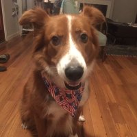Jeff Tully (@jefftullymd) 's Twitter Profile