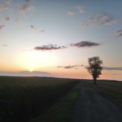 AmiraA34200869's profile picture. 