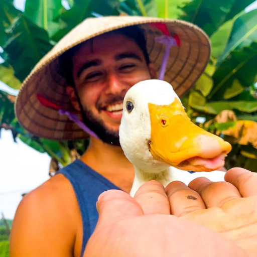 beagle24's profile picture. All that money the money is the motive. https://t.co/UwDvWDdsQP