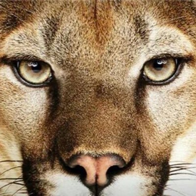 SchoolKirby's profile picture. Official Twitter for Kirby High School in Memphis, TN! #KirbyStrong901