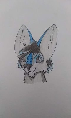 I'm a furry artist, I'm friendly and like commants that will help me improve my art, I also have a furry amino and post art there as well
