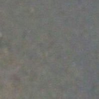 PaolaDnbg's profile picture. 