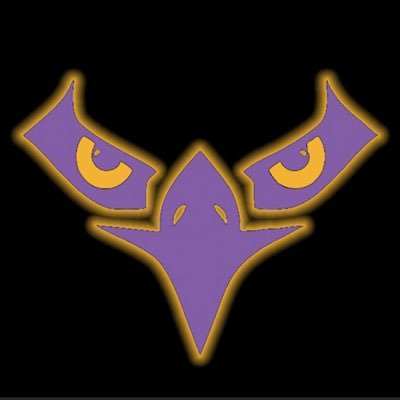 Dirty Birds Profile