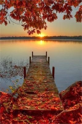 ismet50004242's profile picture. 