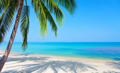 Mjw5582's profile picture. 