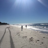 Kristen Land (@kristenland3) 's Twitter Profile