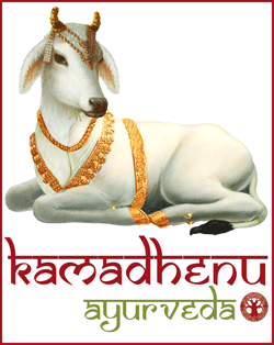 kamadhenu_uk's profile picture. Gopala Auurvedic Organic Herbs, Powders & Panchakarma Oils- TESTED & SAFE. SUITABLE 4VEGANS VEGETARIANS. Please visit: http://t.co/y5DC9sNauD