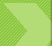 IT Governance and Lifecycle Management Company