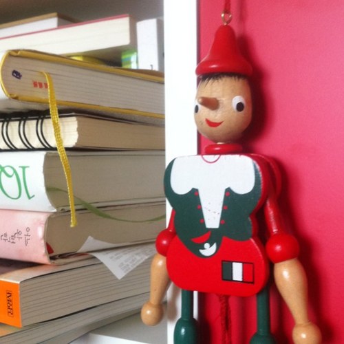 birdkite's profile picture. 무지개 반가워