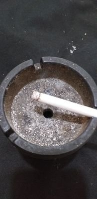 seanp27753511's profile picture. Ash