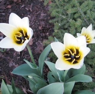 JennerKnit's profile picture. 