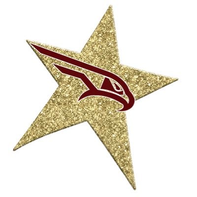 Never miss a chance to DANCE! ⭐️Go Falcons!⭐️