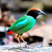 Cryptoandbetta (@cryptoandbetta) 's Twitter Profile Photo Cryptoandbetta (@cryptoandbetta) 's Twitter Profile Photo