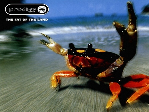 warbrin's profile picture. 