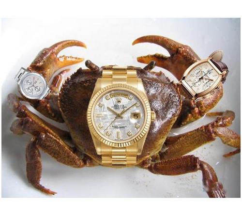 normalant2010's profile picture. 爱自由，爱生活，Barca迷