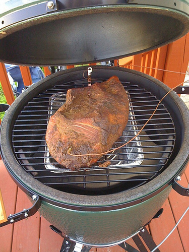 bgegg's profile picture. I'm delicious.