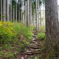 𝟓,𝟎𝟎𝟎𝐦𝐀𝐡 (@s22jpmah) 's Twitter Profile Photo