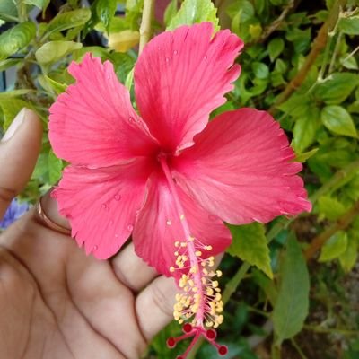 Manikasinghpal2's profile picture. artist