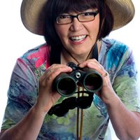 jaynnecarre (@wildbirdgs) 's Twitter Profile