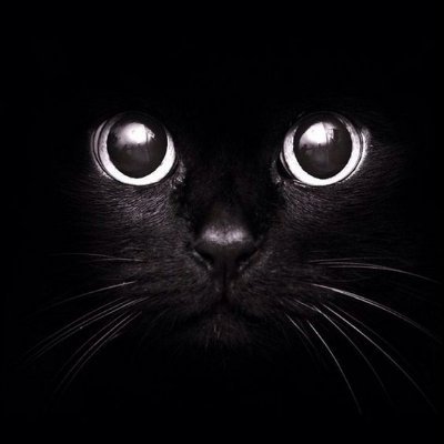 eldeivisss's profile picture. 