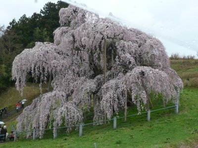 温泉旅好き、ぐーたら主婦