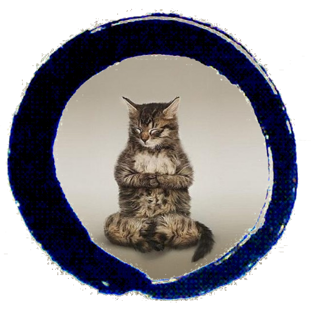 cat loving server enthusiast. small YouTuber. eBayer. cat lover.