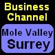 Your local Business 2 Business communication channel in Mole Valley
