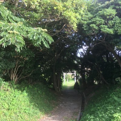 badlee7's profile picture. like #kawaiifuturebass, #edm, and #sweetmusic.