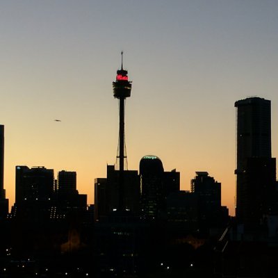 sydobserver's profile picture. 