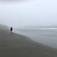 Heather Hiscox (@cbchh) 's Twitter Profile