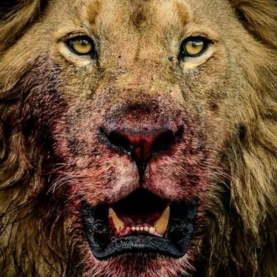 RaodyT's profile picture. 