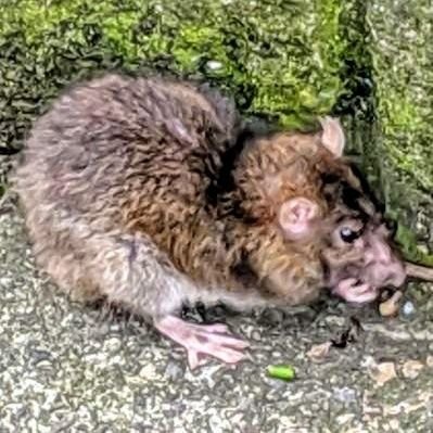 八月さんのプロフィール画像