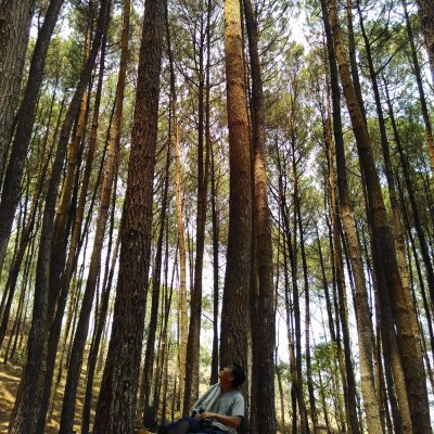 joksants's profile picture. 