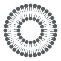 Nutrivitality (@nutrivitality) 's Twitter Profile