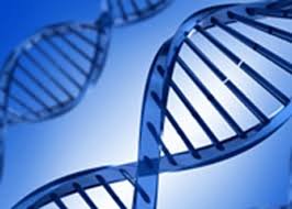 We offer DNA Paternity Testing Services at affordable prices!
DNA Tests available include:
*Maternity
*Prenatal
*Avuncular
*Infidelity
*Ancestry