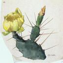 Elizabeth Eggert - @LizzieEggert - Twitter