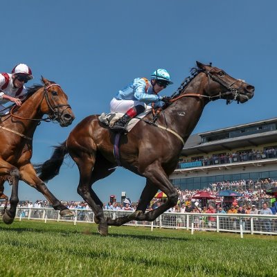 💙 Horseracing with Middleham Park.